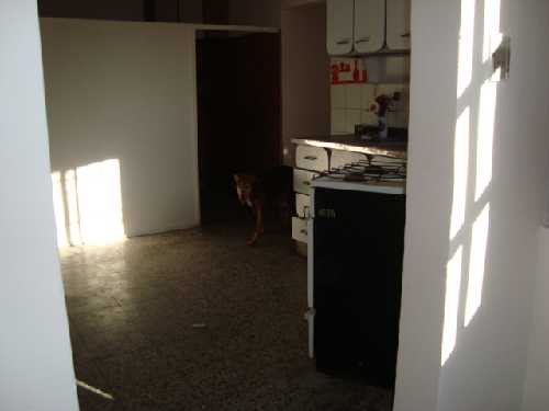 Piedrabuena 1800 en Villa Adelina