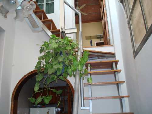 Avda Scalabrini Ortíz 1500 en Palermo Soho