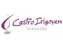 Castro Irigoyen