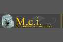 M.C.I. Propiedades (MCI)